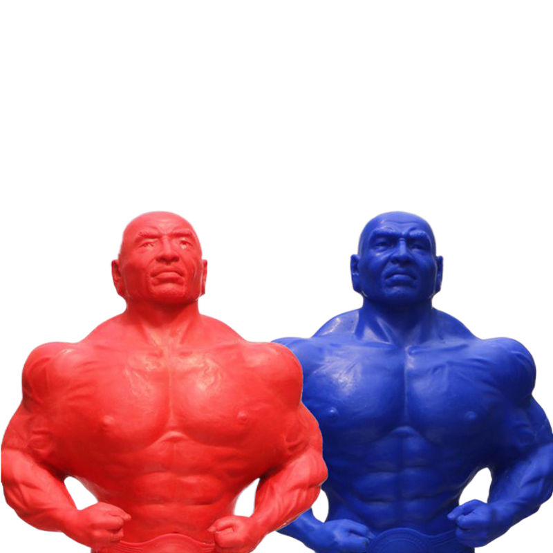 Vertical Household Silicone Sa - đánh giá và giá Boxing Punching Bag