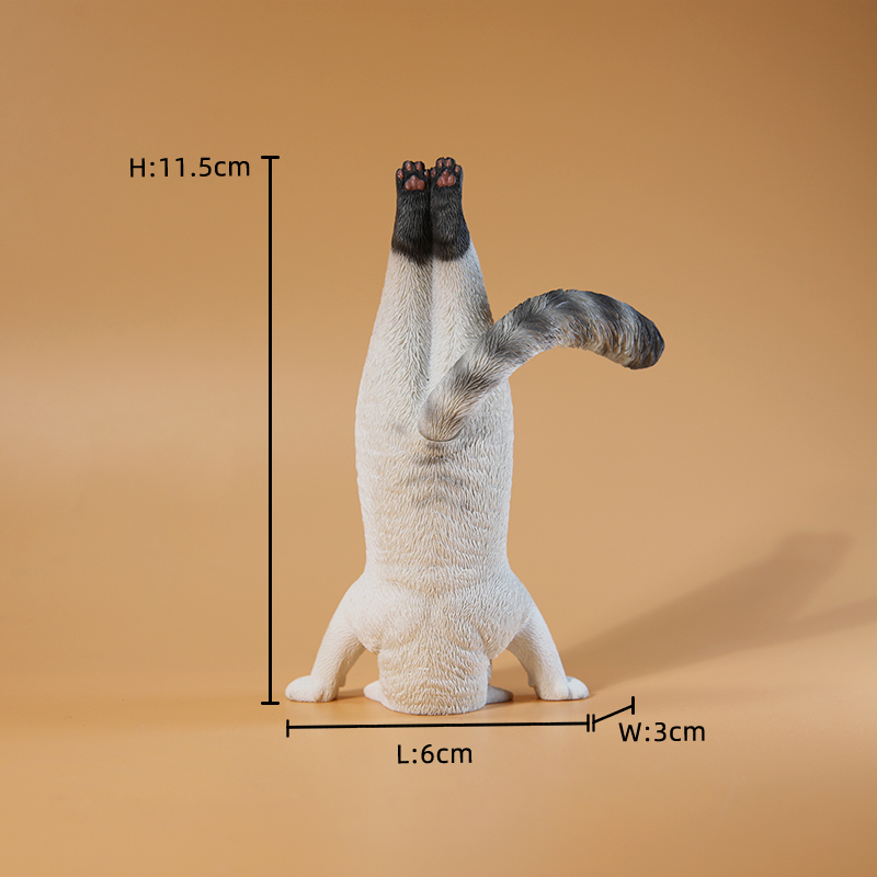 1/6 Scale Mini Simulated Fitne - đánh giá và giá Yoga Fitness First