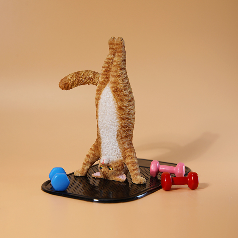 1/6 Scale Mini Simulated Fitne - đánh giá và giá Yoga Fitness First