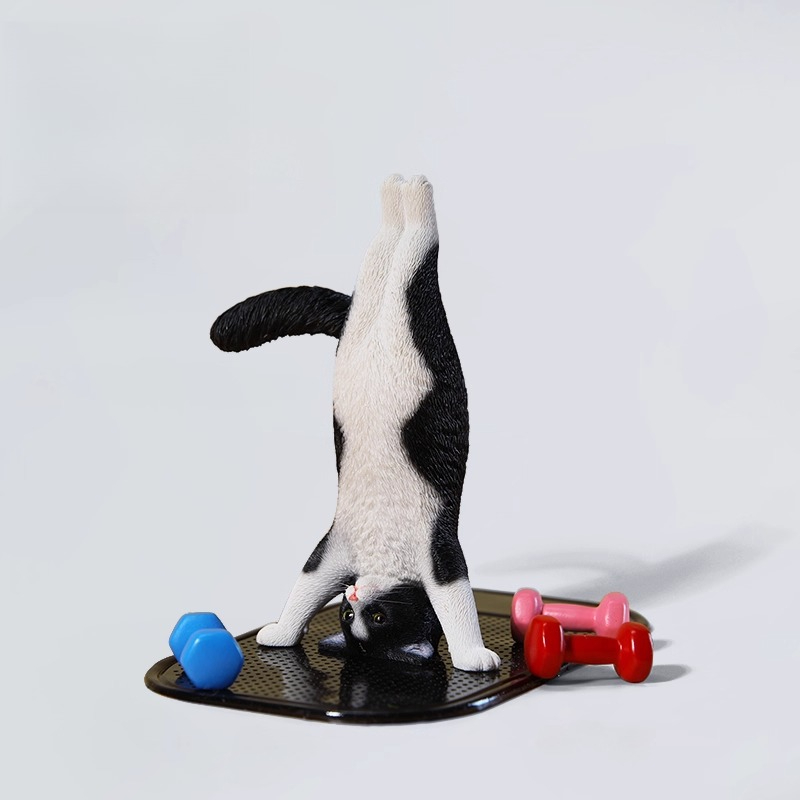 1/6 Scale Mini Simulated Fitne - đánh giá và giá Yoga Fitness First